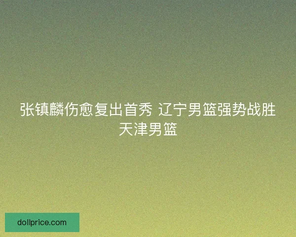 张镇麟伤愈复出首秀 辽宁男篮强势战胜天津男篮
